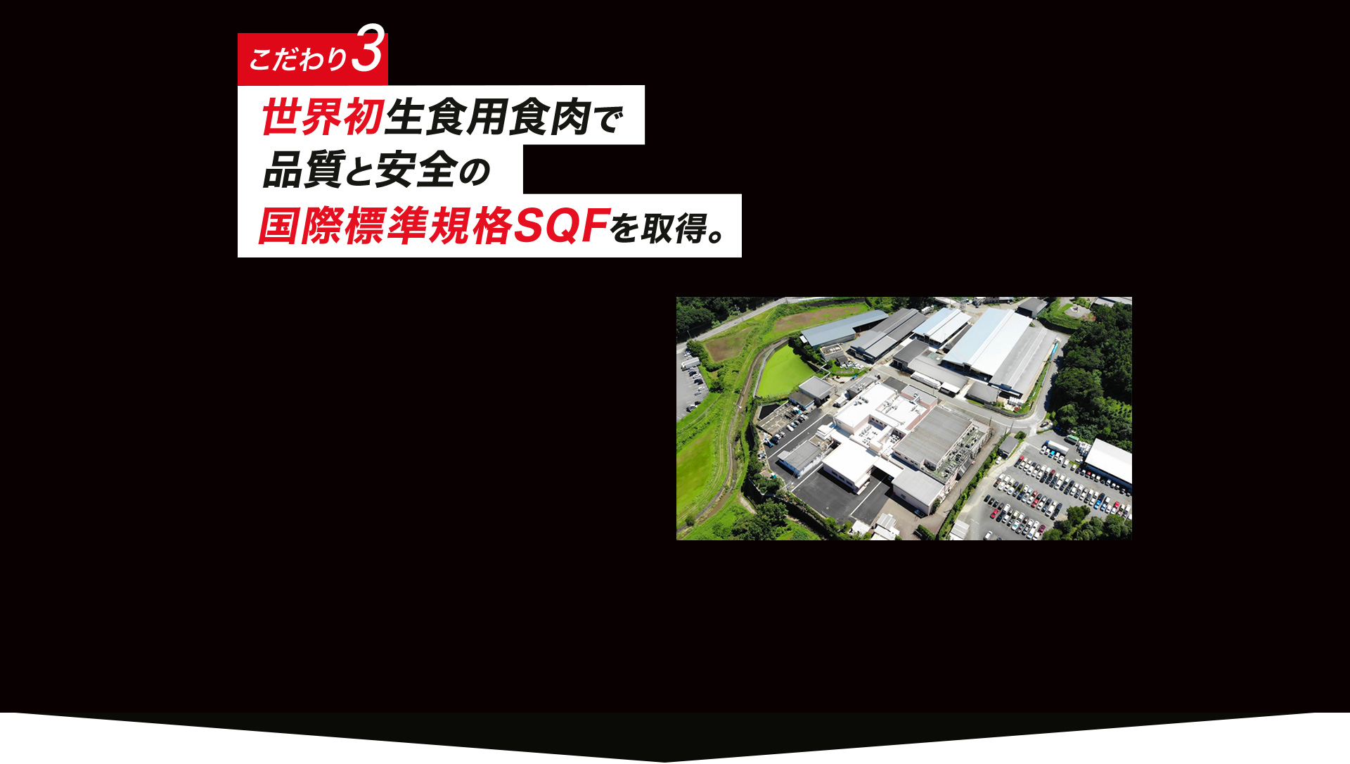 3.世界初生食用食肉で品質と安全の国際標準規格SQFを取得