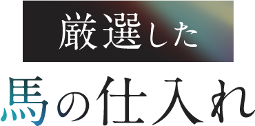 厳選した馬の仕入れ