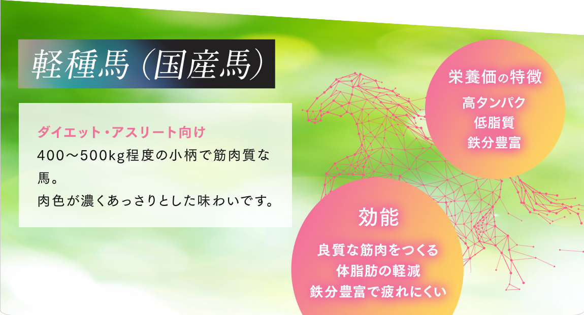 軽種馬（国産馬）は400から500kg程度の小柄で筋肉質な馬でダイエット・アスリート向け。肉色が濃くあっさりとした味わいです。